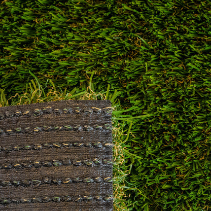 Meadow Light Turf