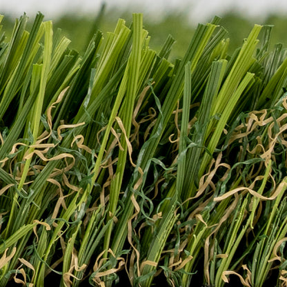 Meadow Spring Turf