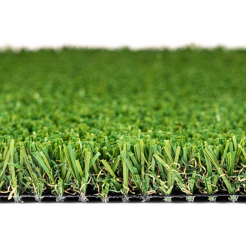 Evergreen Pet Turf