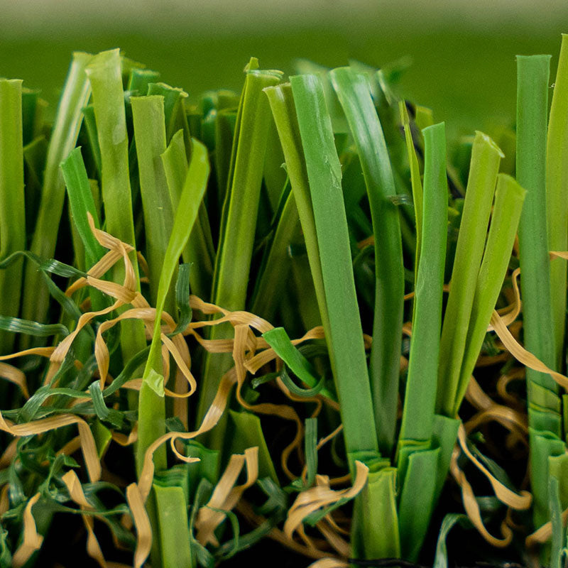 Evergreen Pet Turf