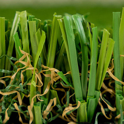 Evergreen Pet Turf